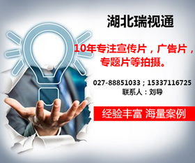 武汉企业品牌视觉构建 宣传片、形象策划与图文设计一体化解决方案